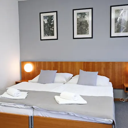 Maxim Hotel 3*