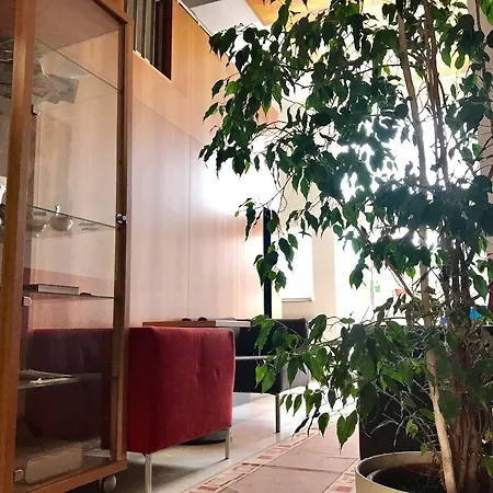 Hotel Maxim Svätý Jur